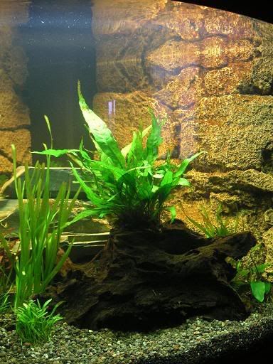 PICT0401.jpg