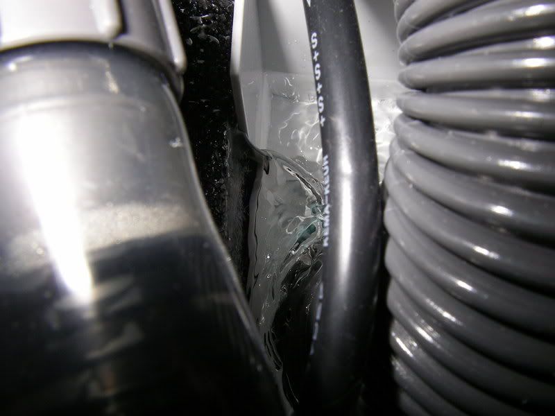 PC250103.jpg