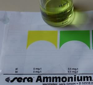 ammonia120110.jpg