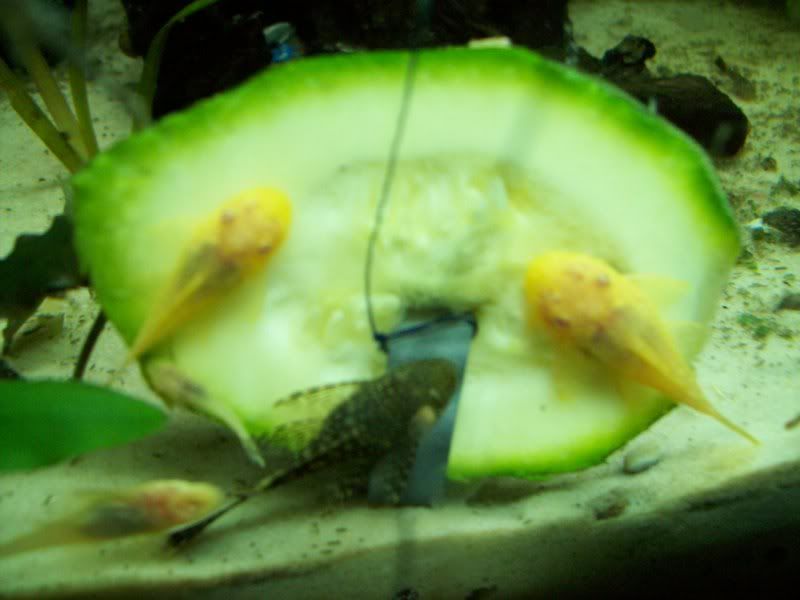 100_0719.jpg