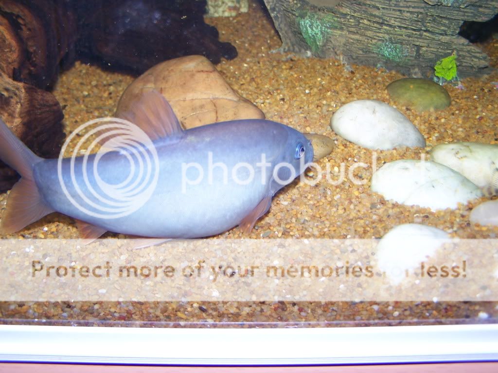 100_6056.jpg