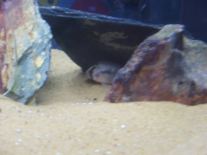 DSCF1373.jpg