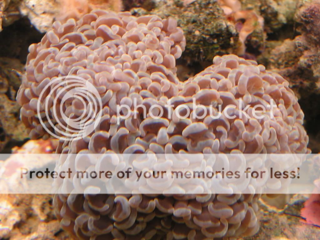 PICT0420.jpg
