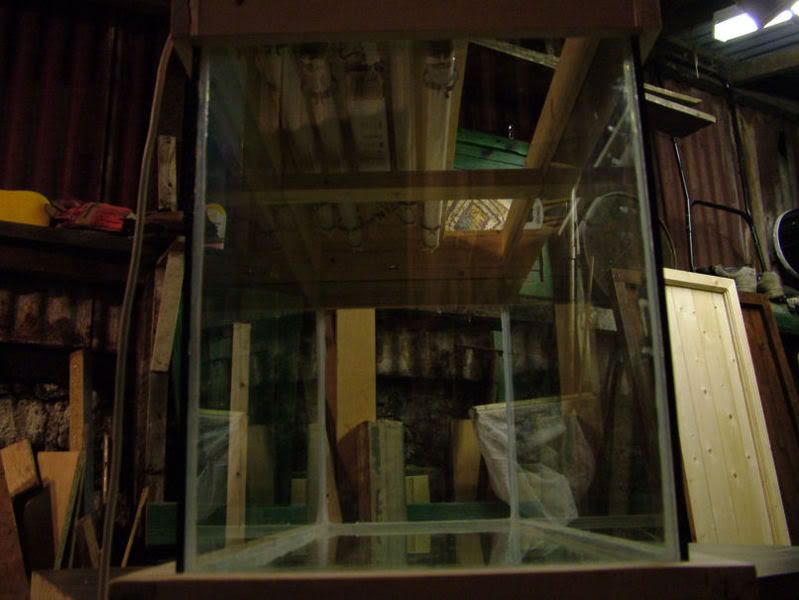 DSCF3894.jpg