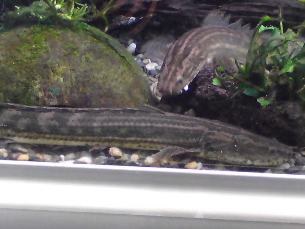 DSC00257.jpg