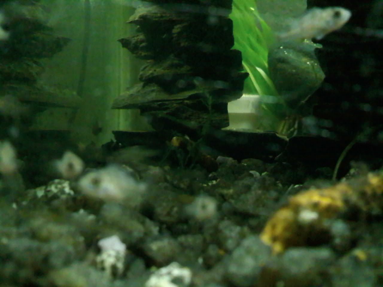 0330092029_0001.jpg