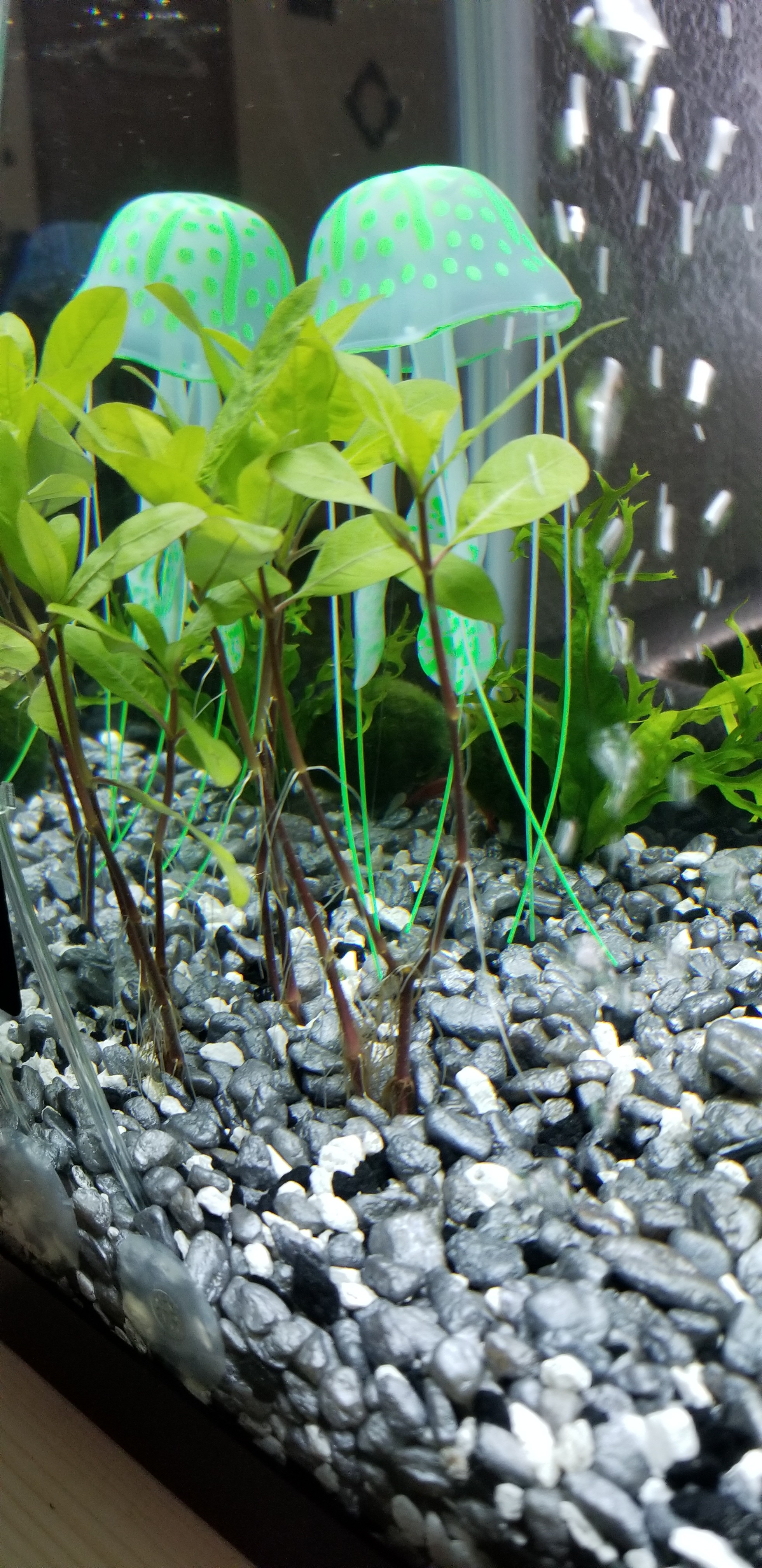 20180312_094301.jpg