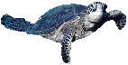 __FIS8.gif