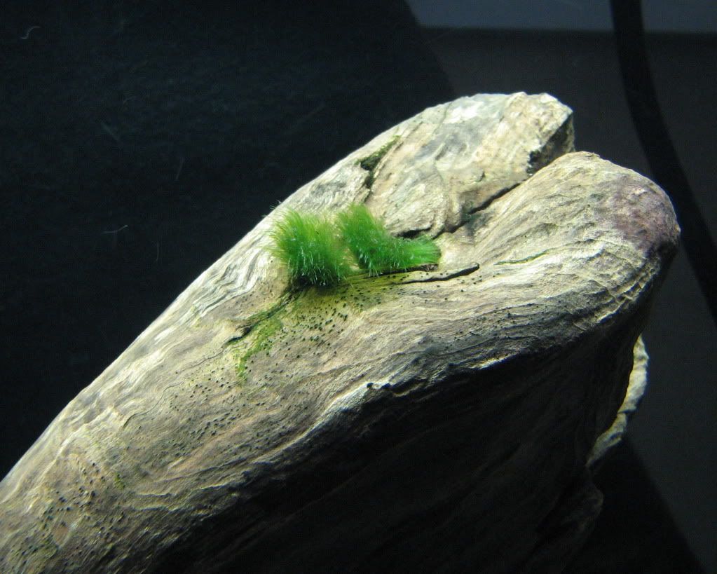 9d08d104.jpg