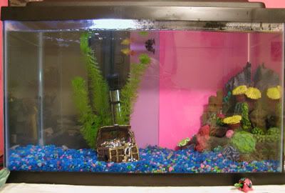 fishtank.jpg