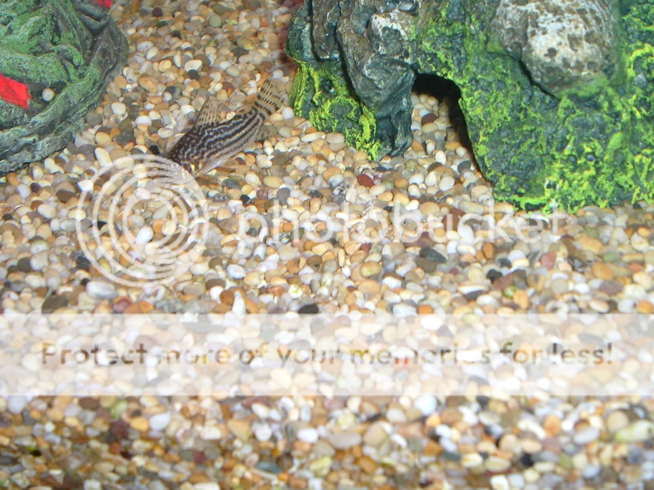 DSCF0827.jpg