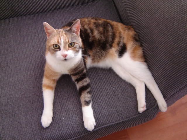 DSC05399.jpg