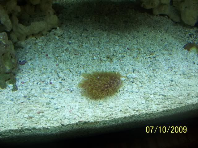 100_7129.jpg