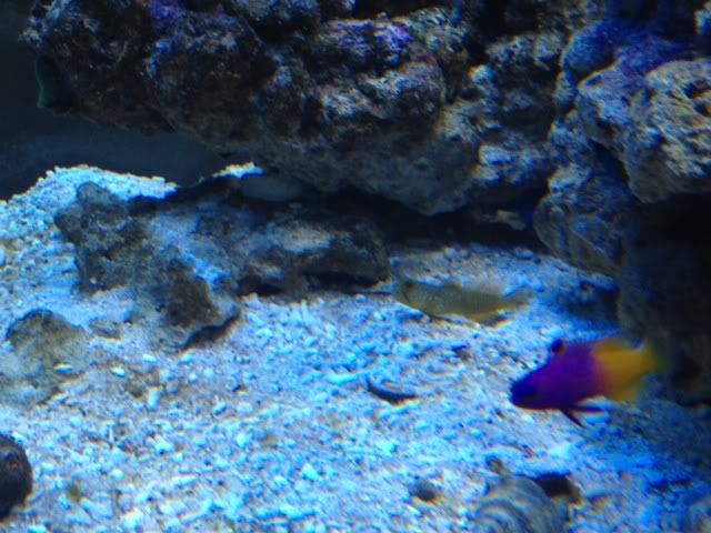 photo2-12.jpg