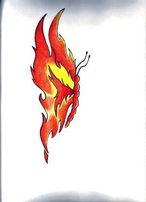 firebutterfly10.jpg