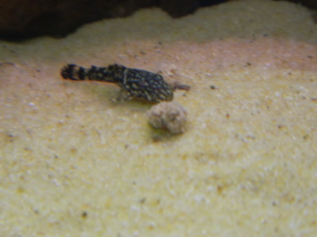 DSCN0766.jpg