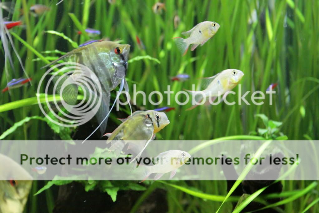 IMG_5660.jpg