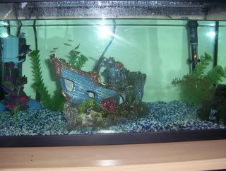 myfish021.jpg