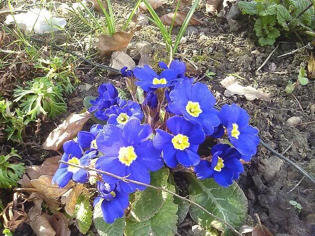 Photo1244.jpg