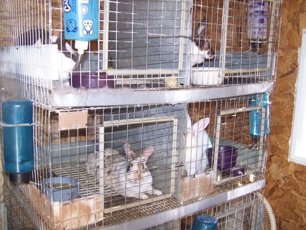 Picture001.jpg
