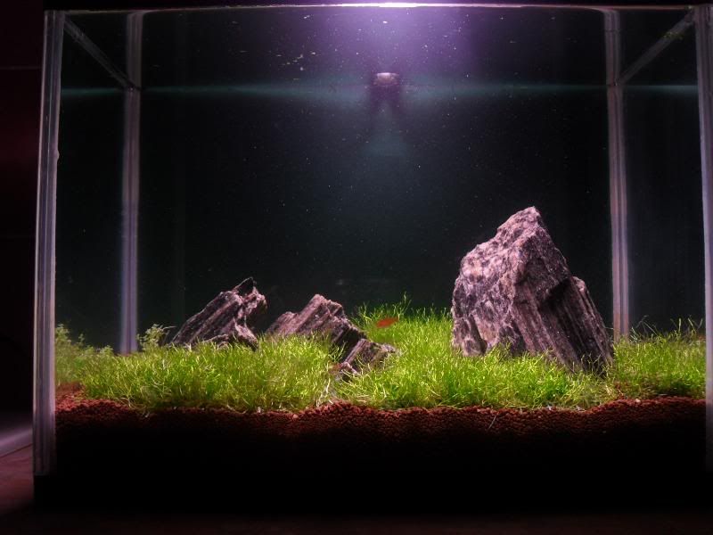 nanobackground5.jpg
