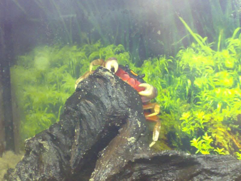 12102007215.jpg