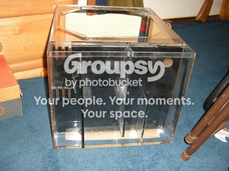 Picture007.jpg