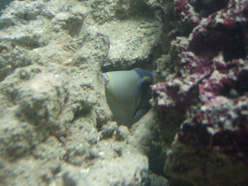 DSCF3361.jpg