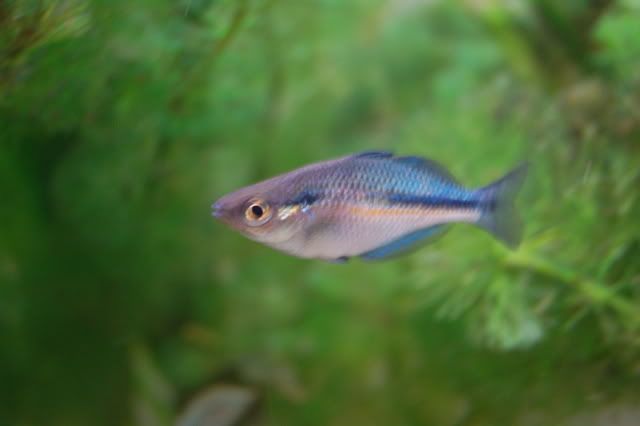 DSC_0081.jpg