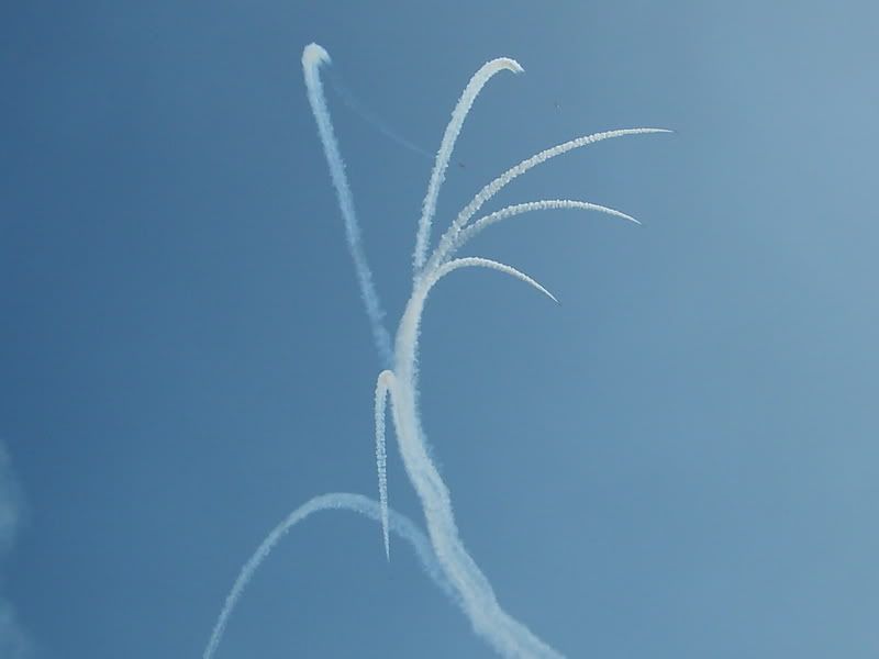 S5006194.jpg