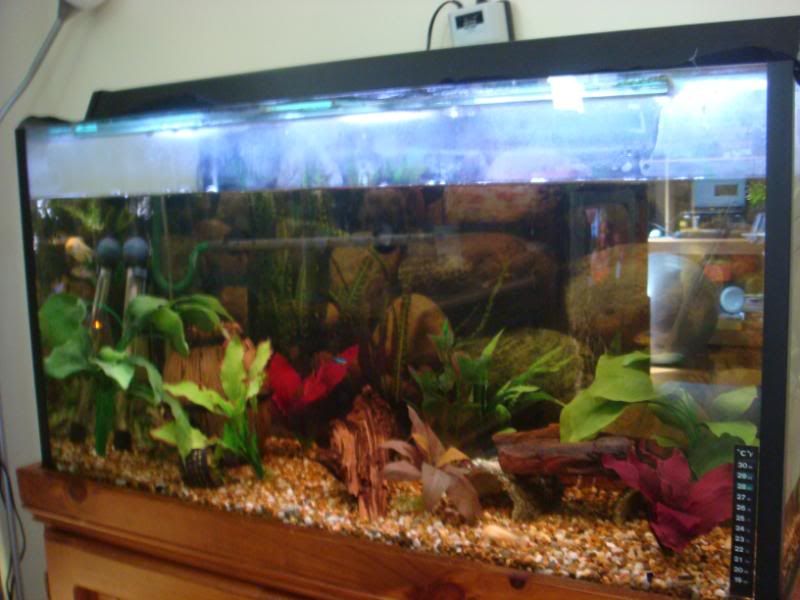 ramtank003.jpg
