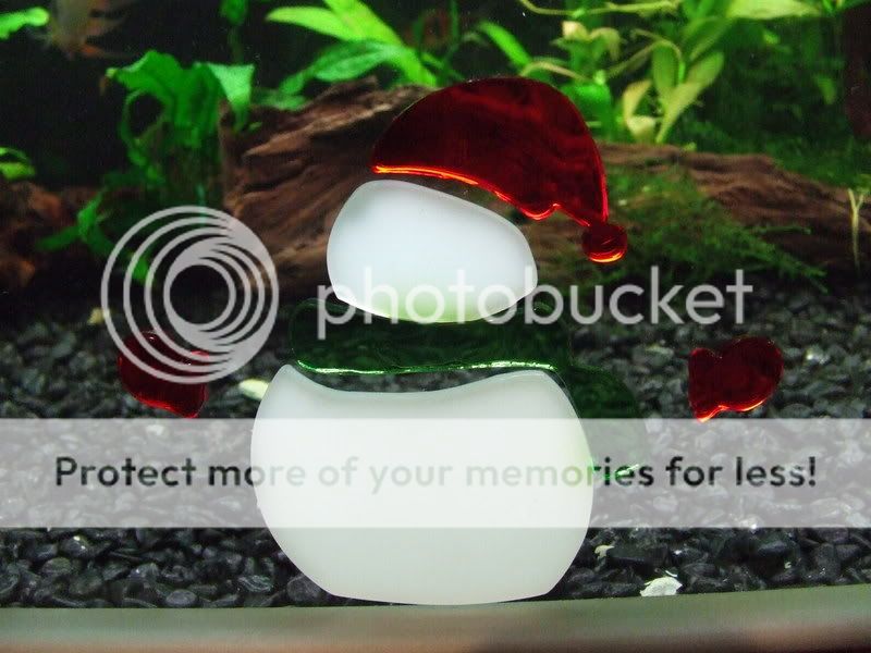 DSCF2816.jpg