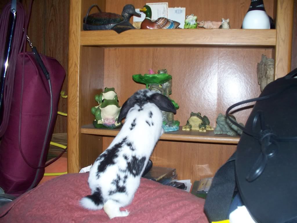 100_0419.jpg