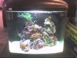 DSC00049-1.jpg