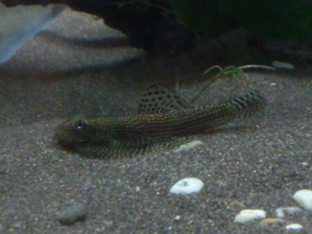 DSC_0097.jpg