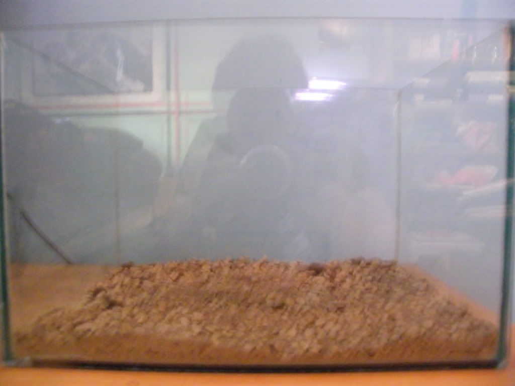 DSCF4539.jpg