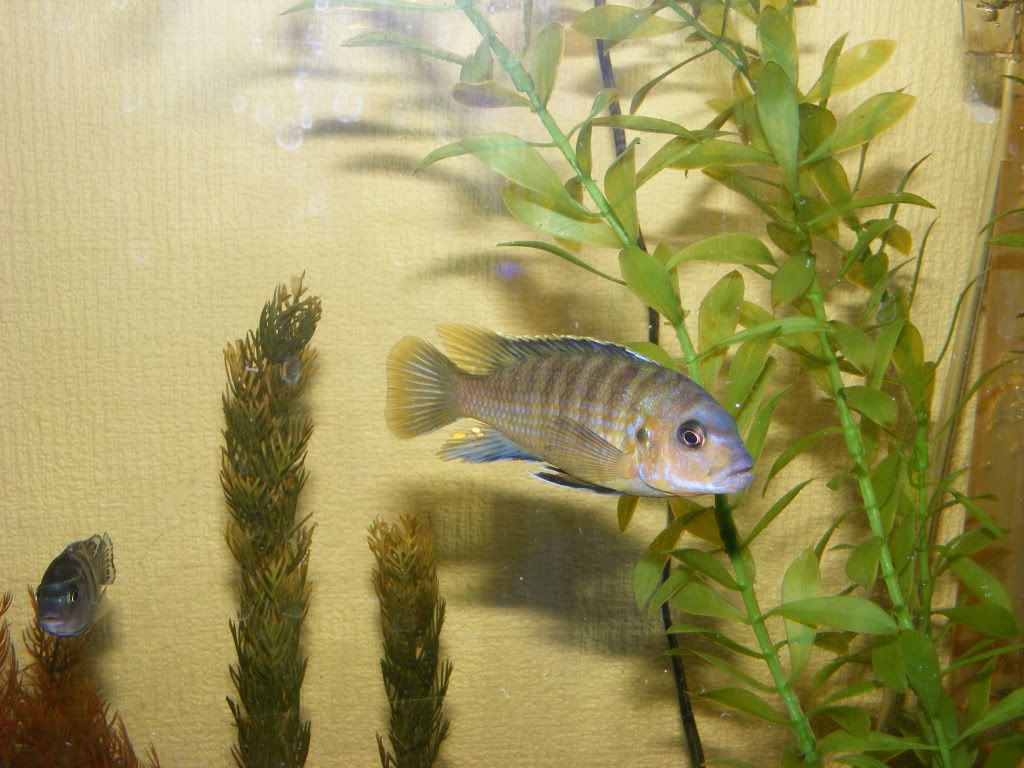 DSCF3035.jpg