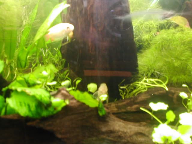 Picture066.jpg
