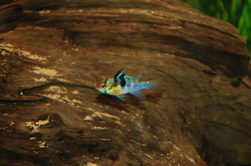 DSC_0280.jpg