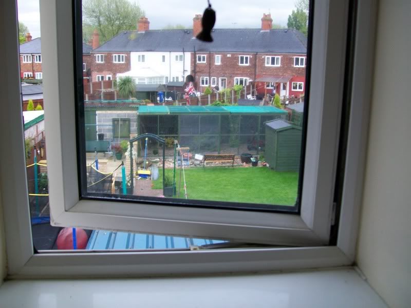 100_0534.jpg