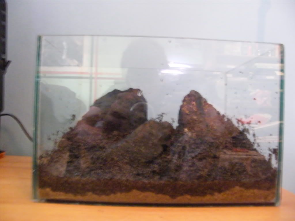 DSCF4545.jpg