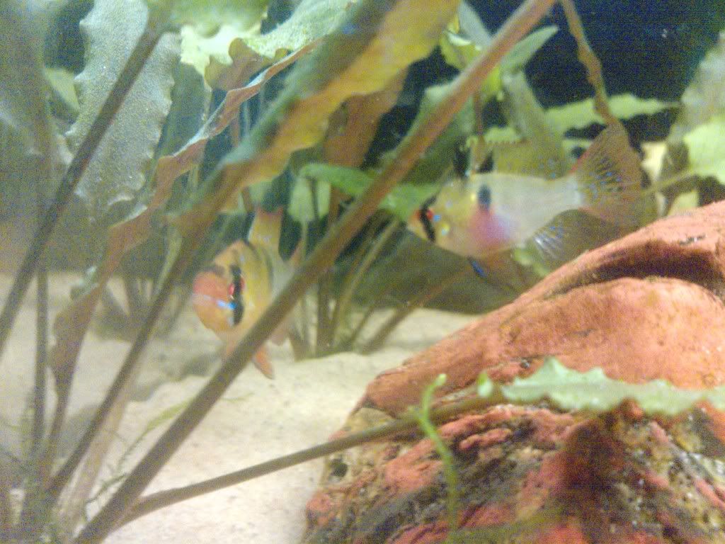 P203001_22-06-11.jpg