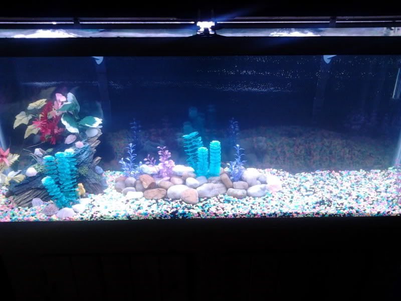 2011-01-07153734.jpg