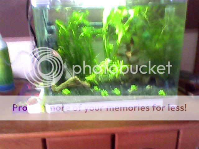 Image_00065-1.jpg