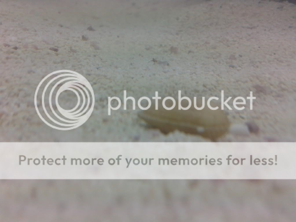 2012-07-02151241.jpg