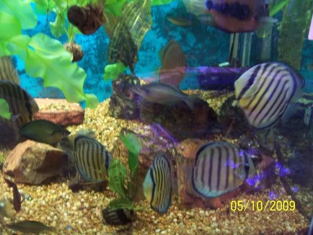 100_6153.jpg