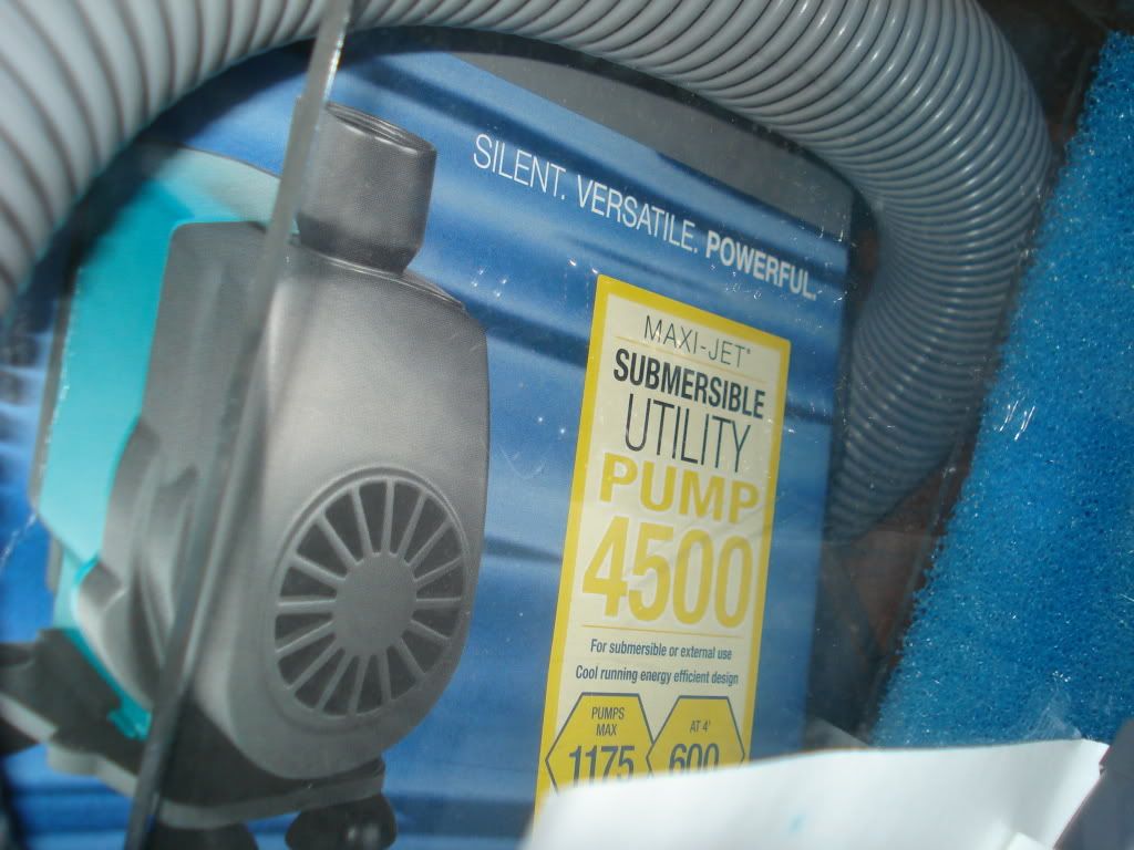 DSC02279.jpg