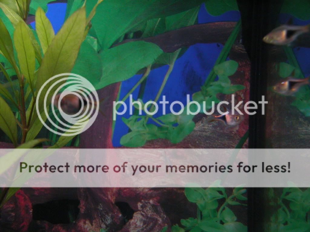 DSCN2929.jpg