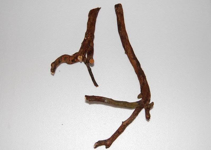 Wood.jpg