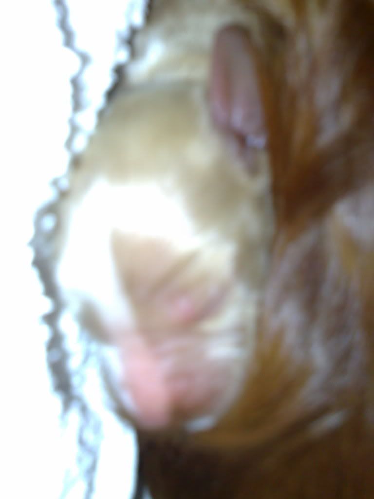2008-09-05_16-02-28_05092008038.jpg